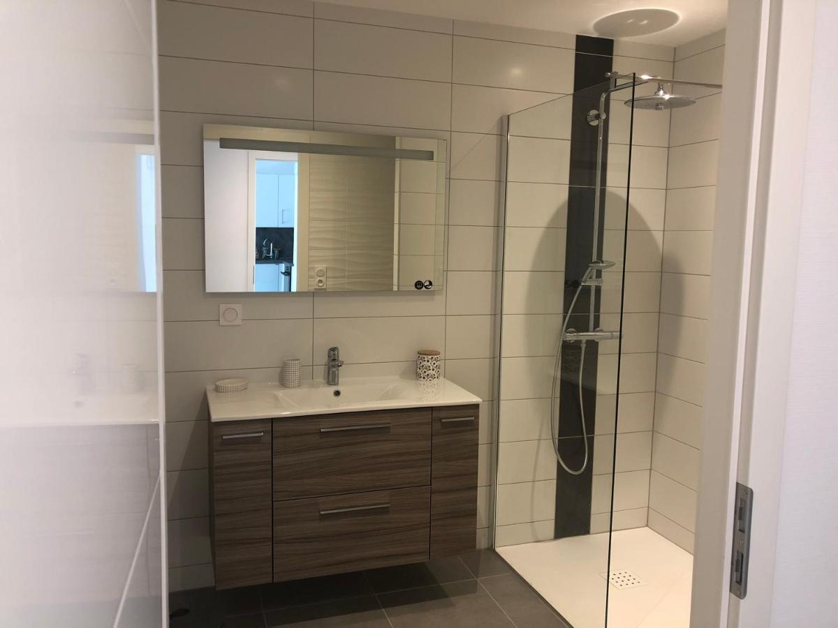 Appartement Magniolia Proche Centre Ville Колмар Екстериор снимка