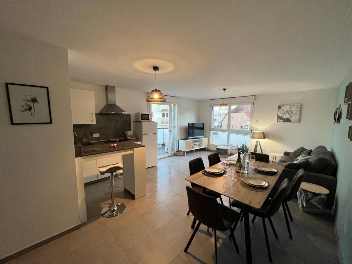 Appartement Magniolia Proche Centre Ville Колмар Екстериор снимка