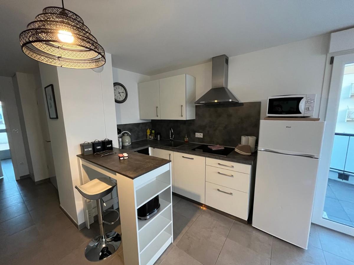 Appartement Magniolia Proche Centre Ville Колмар Екстериор снимка